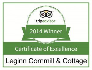 Trip-Advisor---Certificate-of-Excellence-s